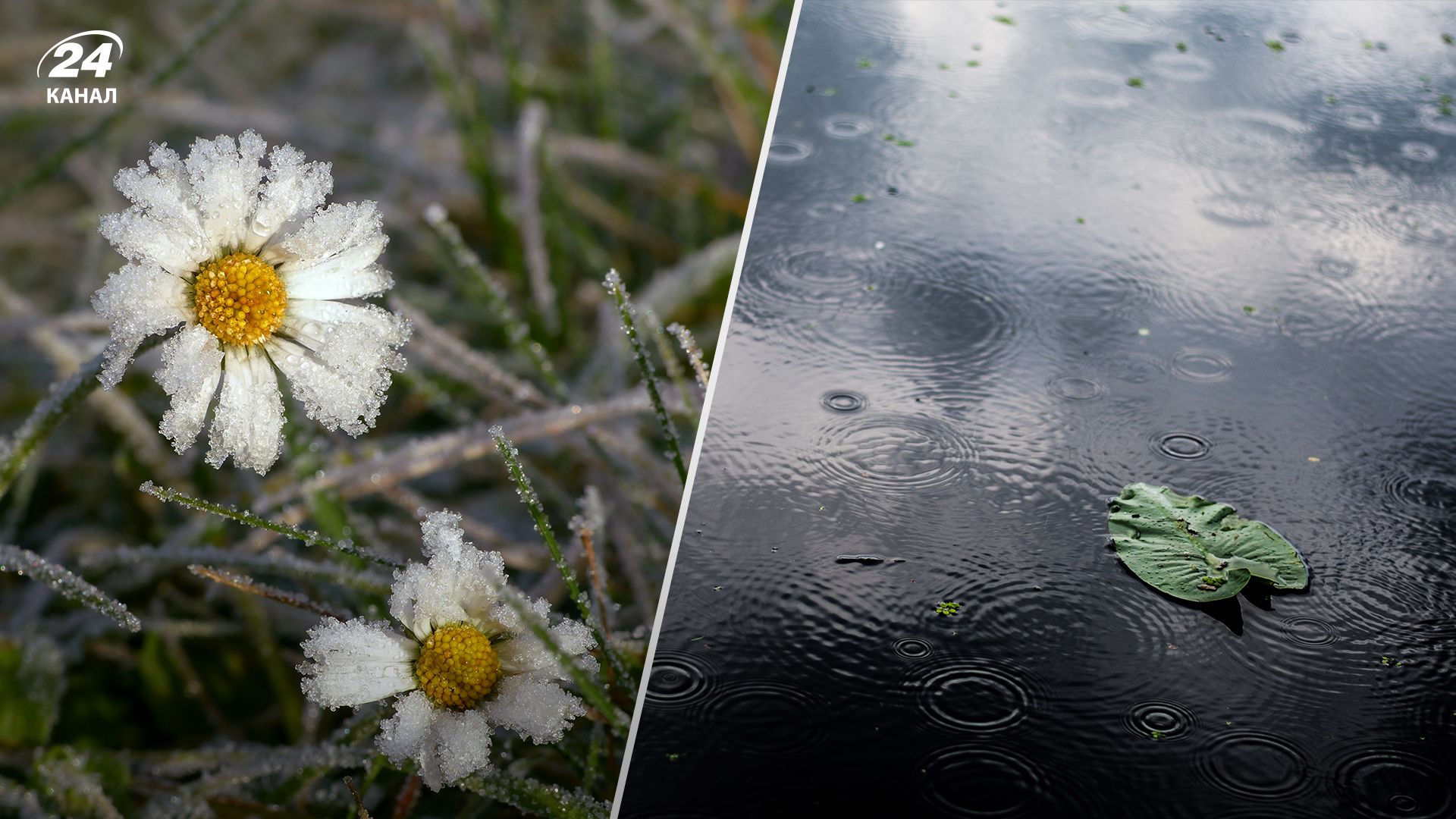 В Україні різко погіршиться погода В Україні різко погіршиться погода