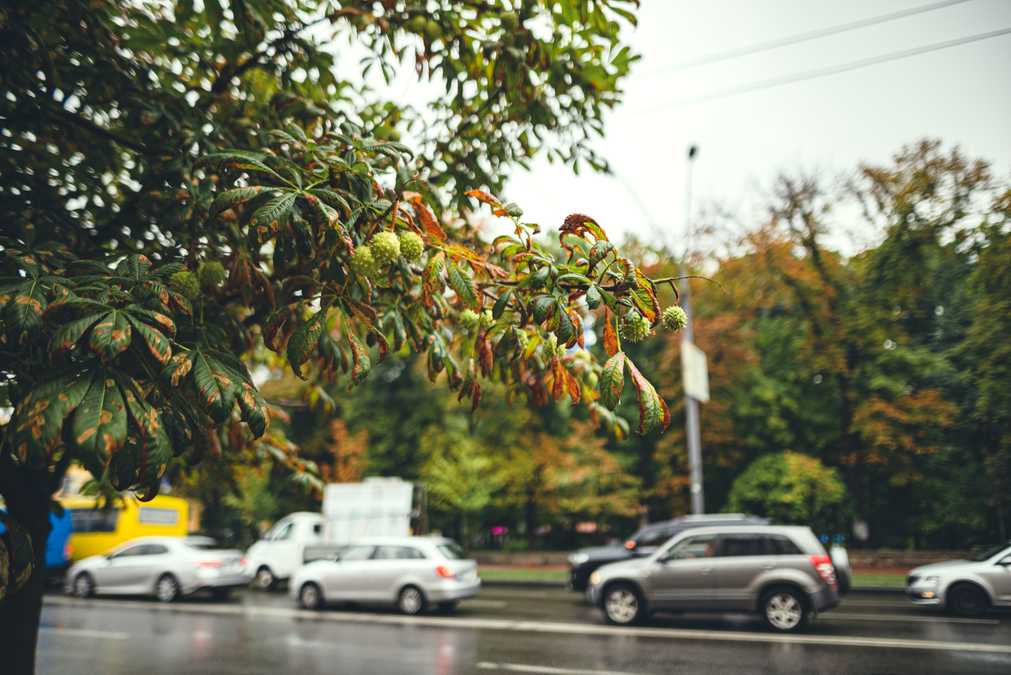 Мобилизация транспортных средств - у кого и при каких условиях могут изъять  авто - 24 Канал