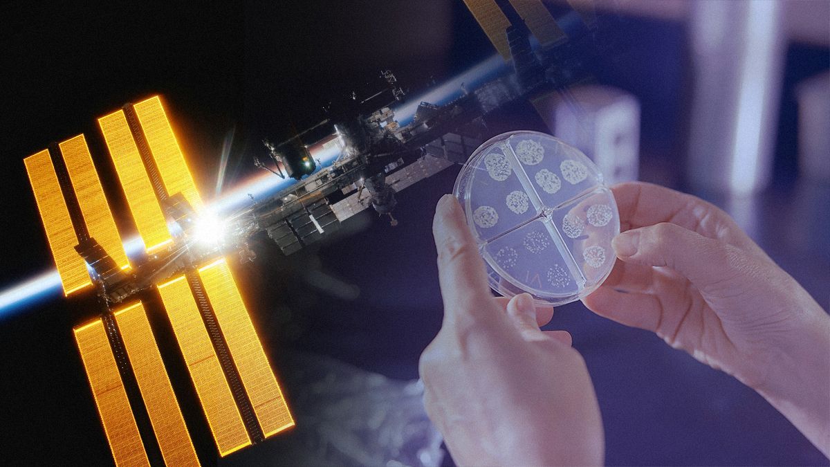 Мутировавшие бактерии колонизировали МКС и не поддаются лечению Мутировавшие бактерии колонизировали МКС и не поддаются лечению