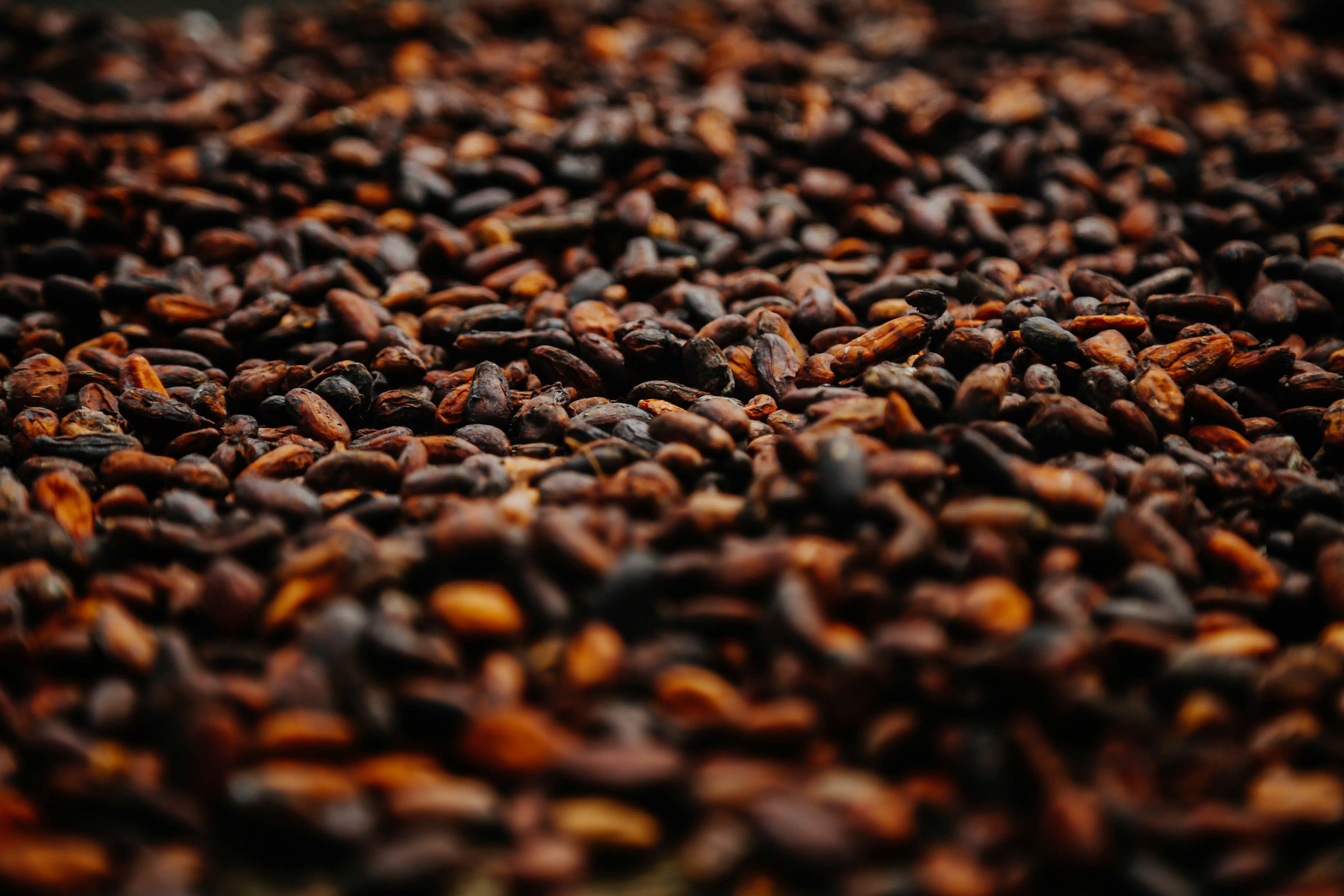Рекорда цена на какао - сколько стоит порошок какао - тонна более 10 тысяч долларов