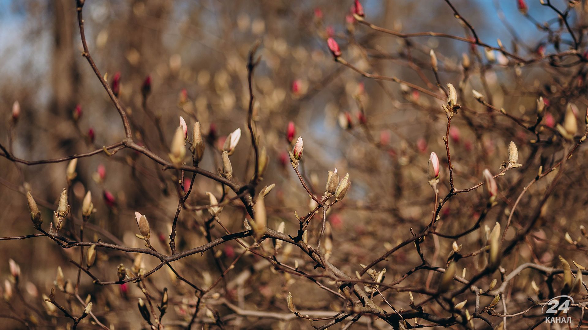 Погода в Украине - 24 Канал Погода в Украине - 24 Канал