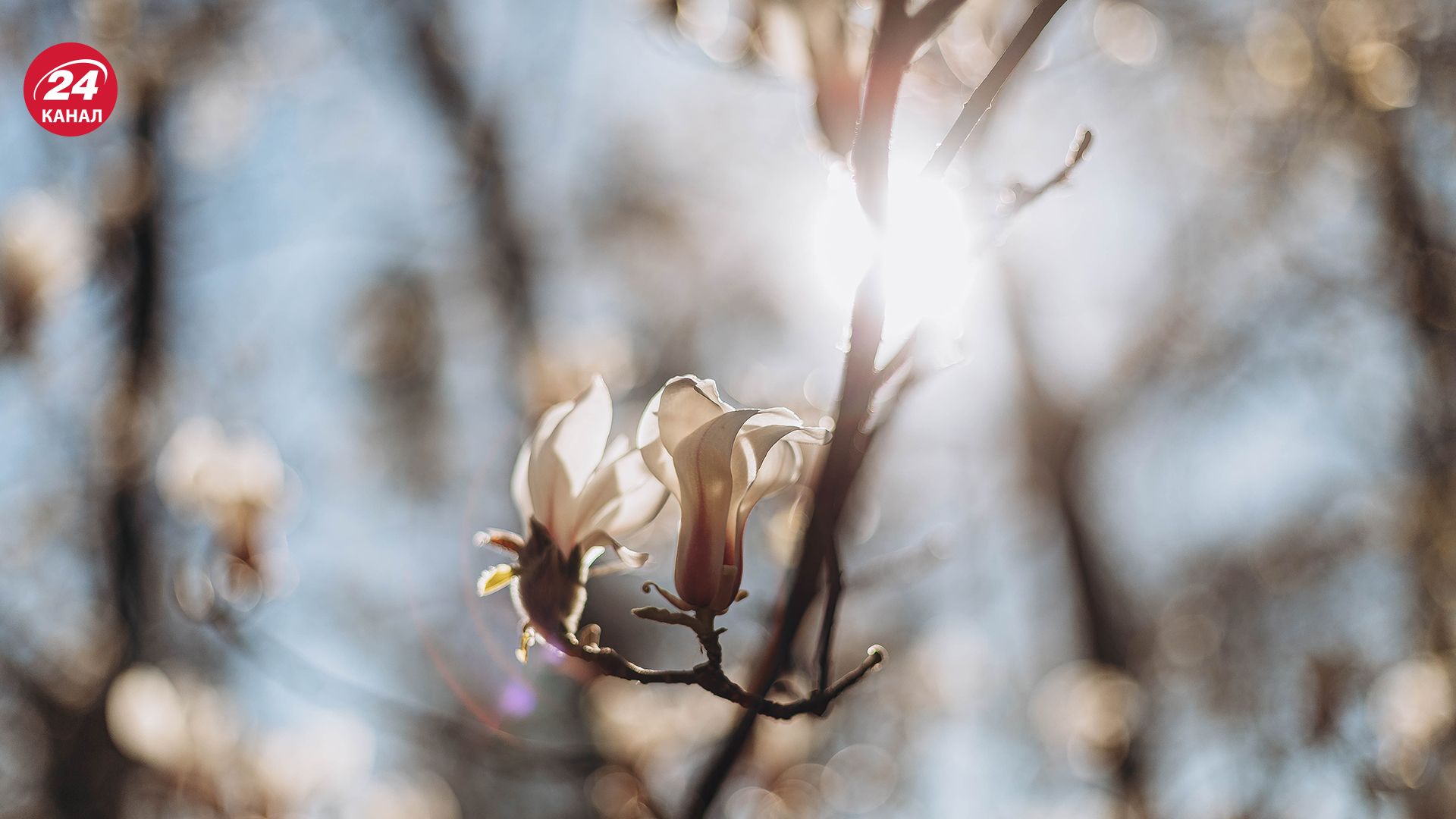 Погода в Украине - 24 Канал Погода в Украине - 24 Канал