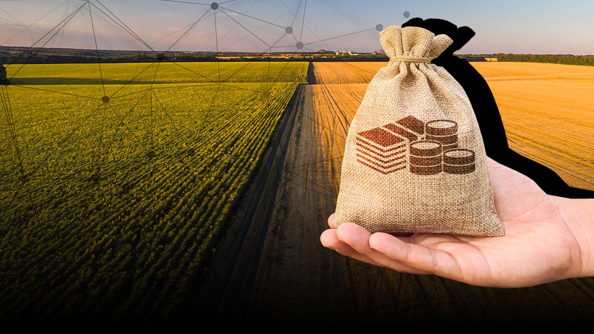 Страхование агросектора Страхование агросектора