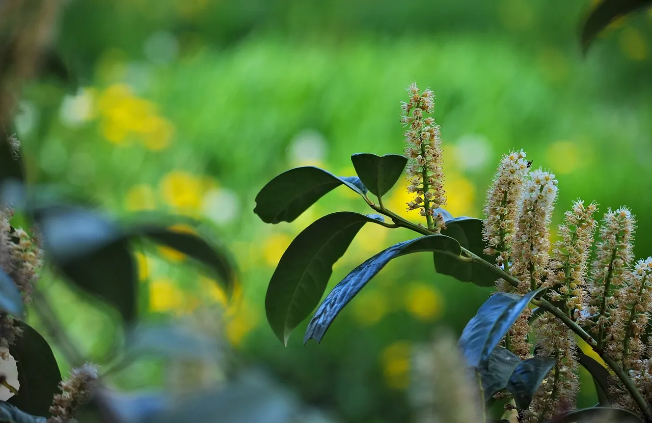 Будуть одні проблеми: 7 найшкідливіших рослин, які категорично не можна садити біля дому