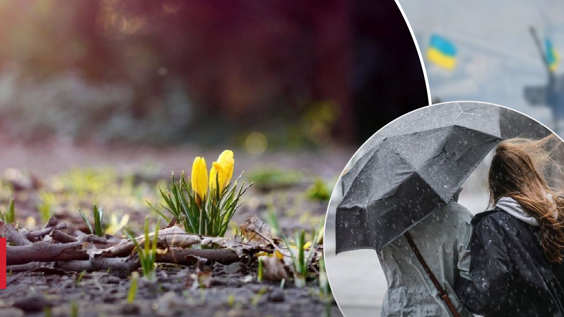 В Украину идут заморозки - какие регионы почувствуют похолодание - 24 Канал В Украину идут заморозки - какие регионы почувствуют похолодание - 24 Канал