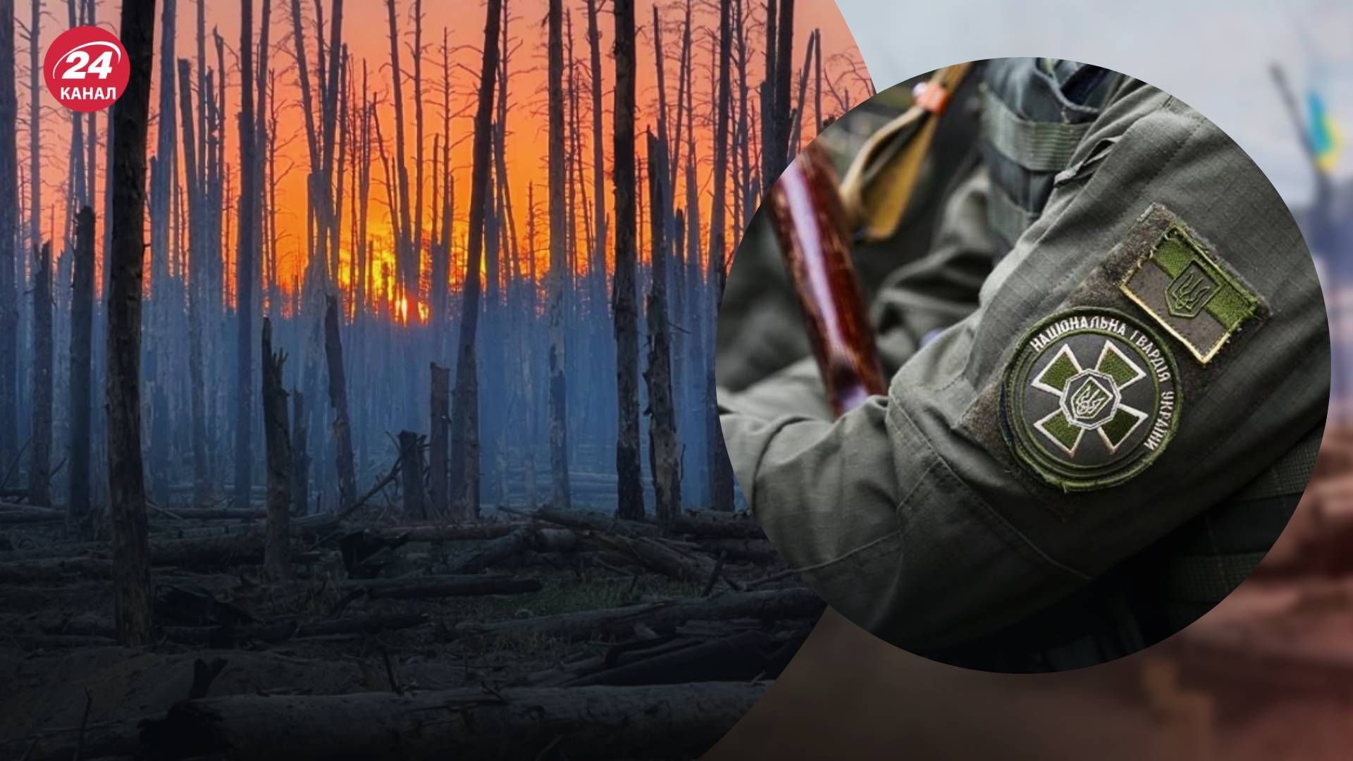 Нацгвардія просунулася у Серебрянському лісі Нацгвардія просунулася у Серебрянському лісі