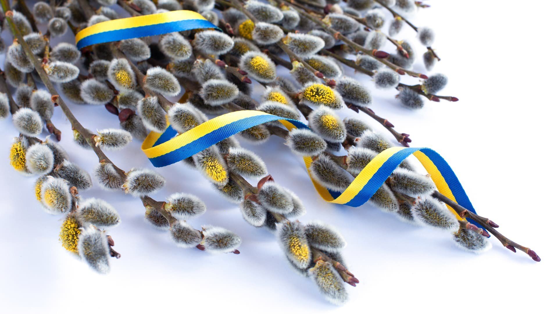 Вербна неділя 2024 - як правильно українською розповісти про це велике свято Вербна неділя 2024 - як правильно українською розповісти про це велике свято