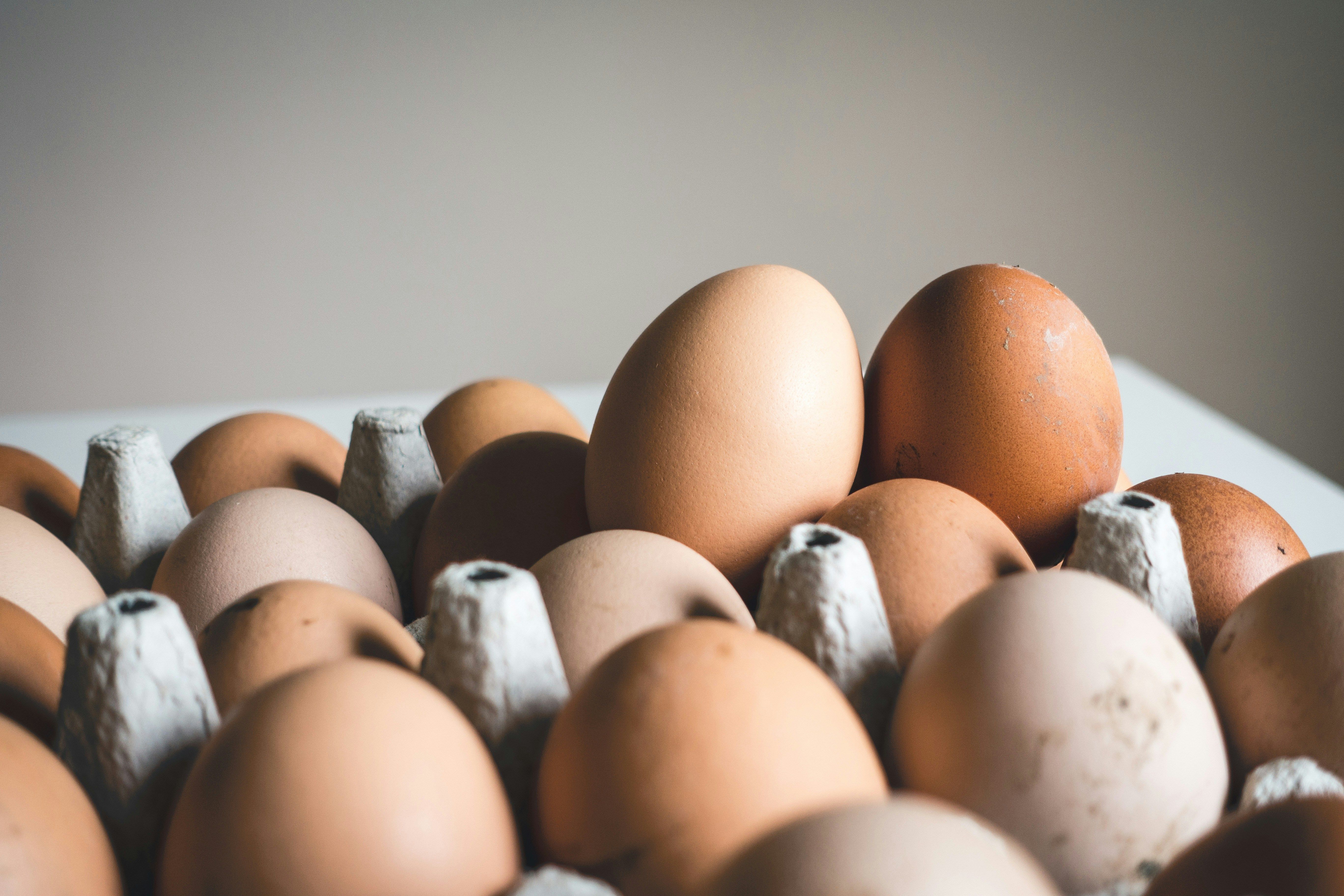Цена на яйца - подорожают ли яйца перед Пасхой - на сколько