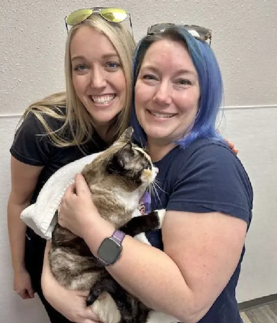 Власники і Гален Власники і Гален