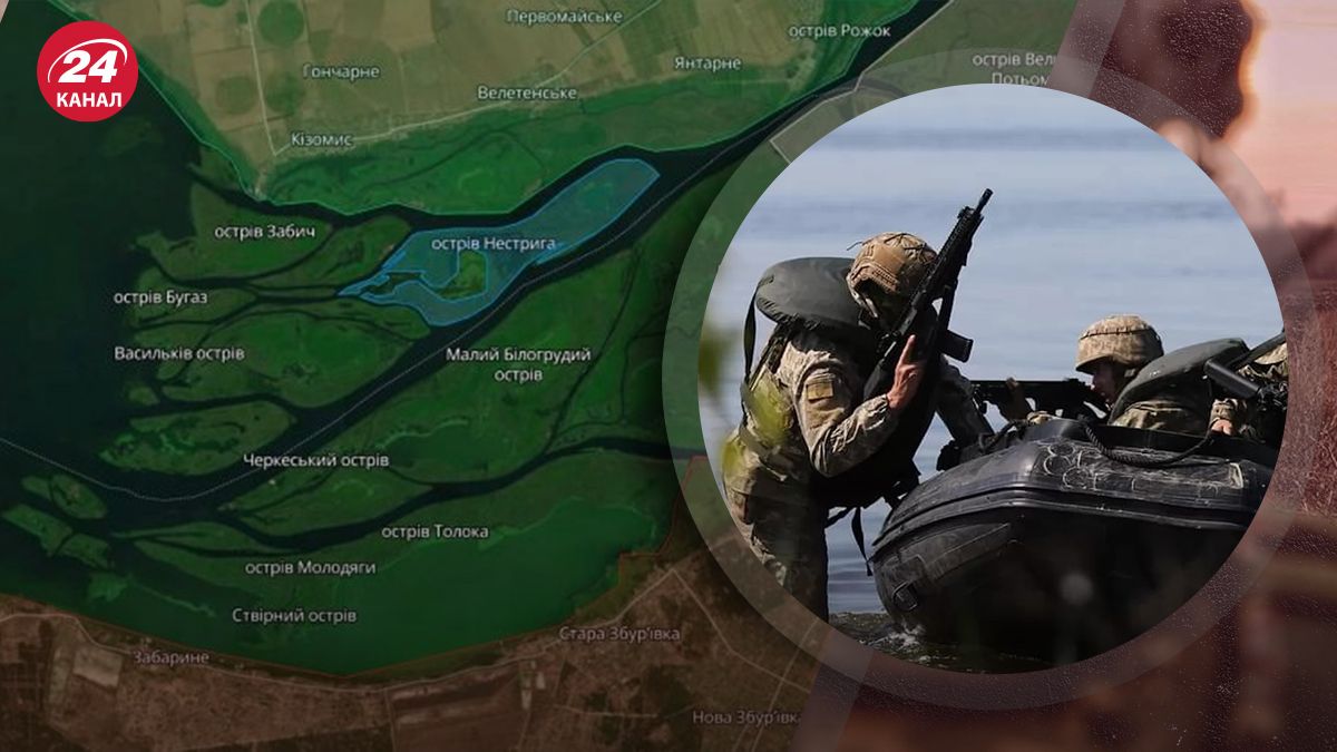 Чому було важливо повернути контроль над островом Нестрига Чому було важливо повернути контроль над островом Нестрига