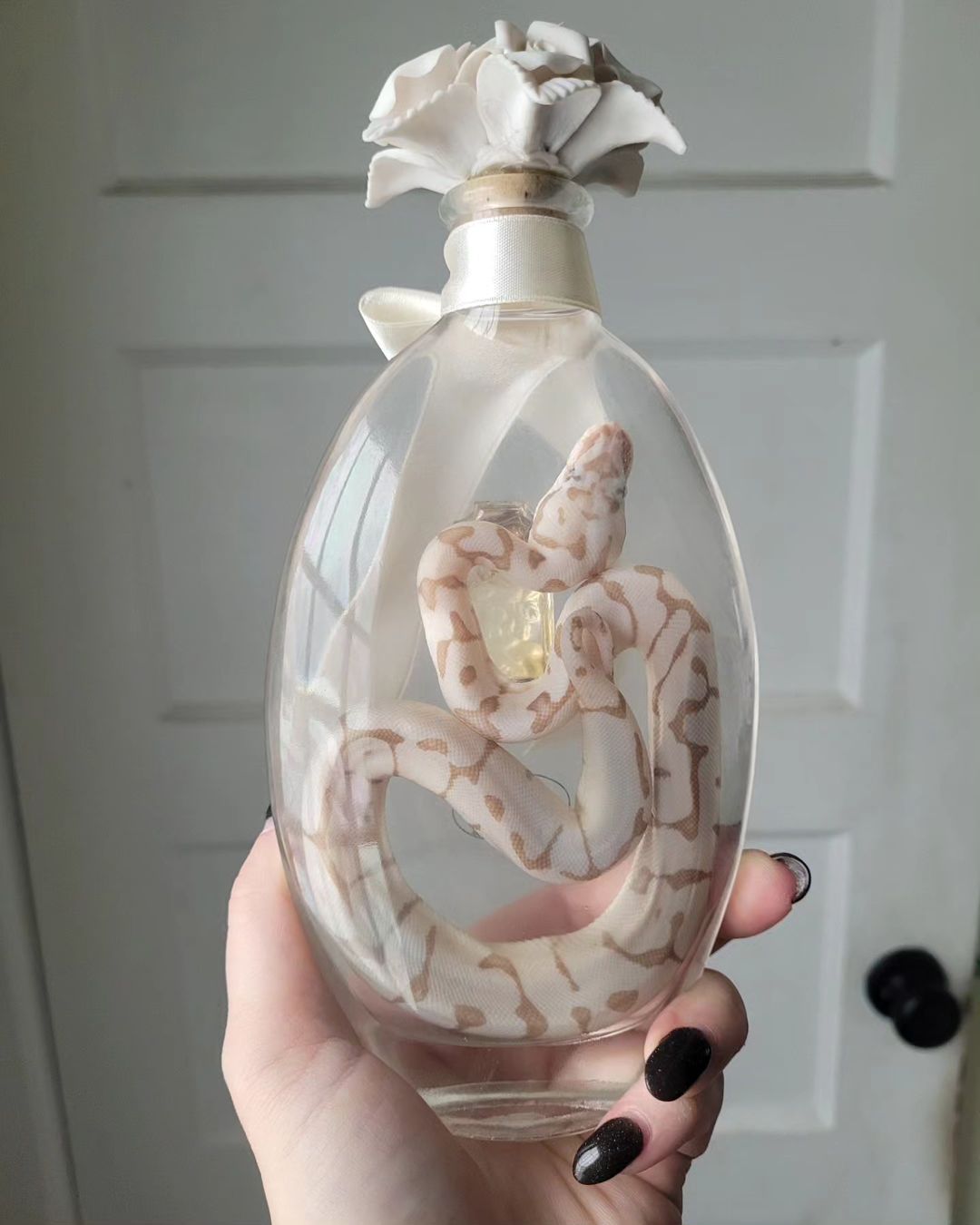 Женщина создает элементы декора из тушек животных.