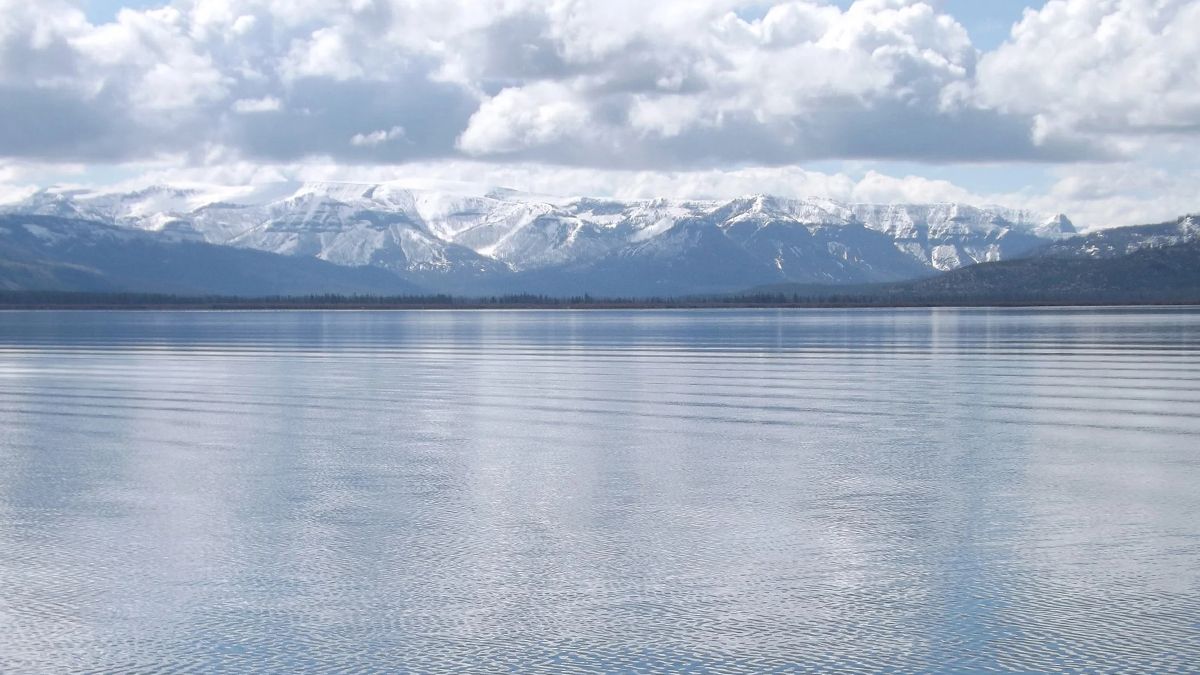 Єллоустоунське озеро не піддається глобальному потеплінню так, як інші по всьому світу