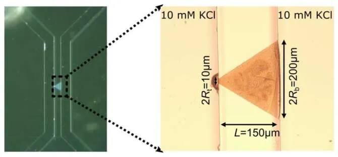 Мемристор Мемристор