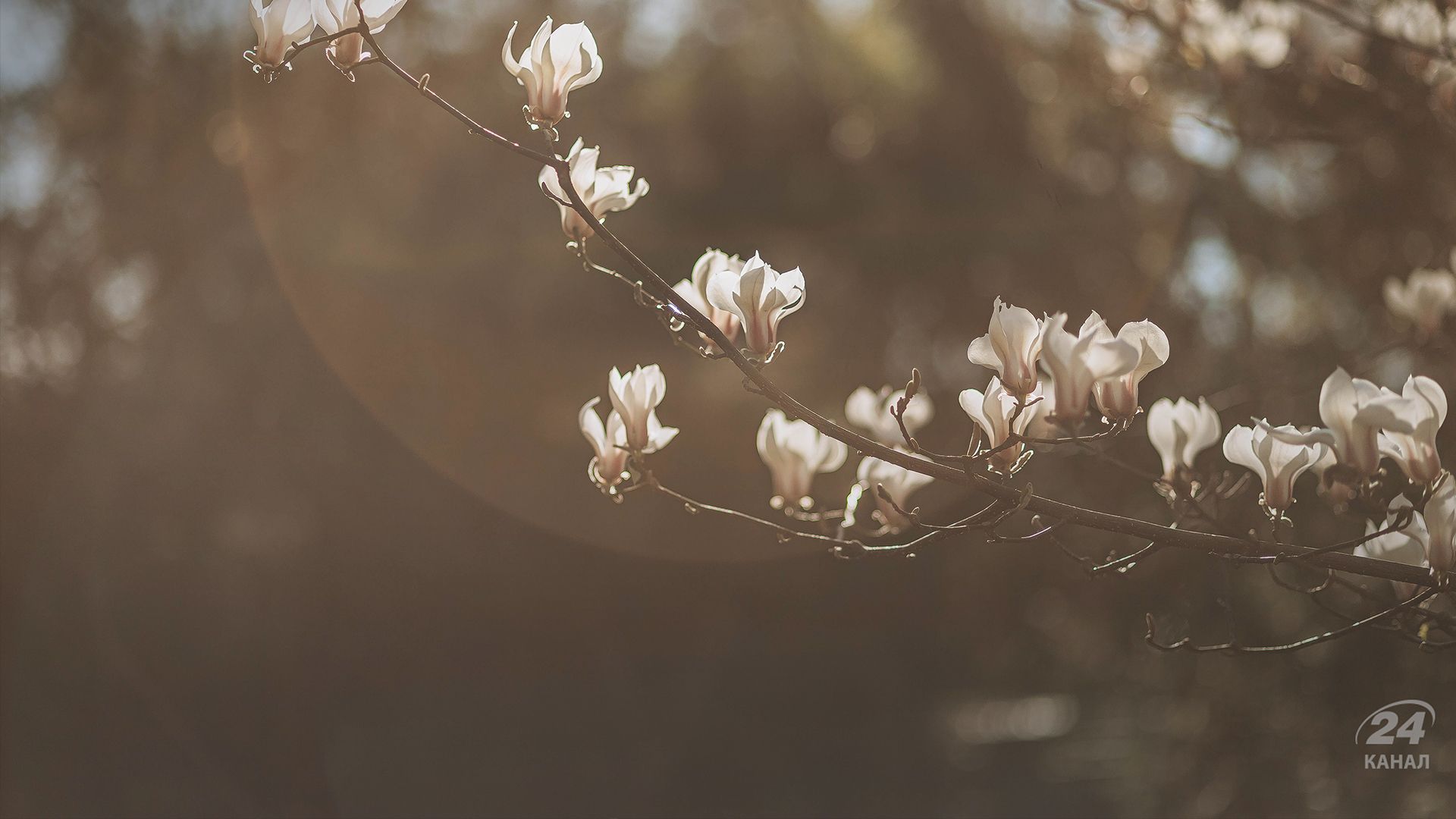 Погода на місяць - 24 Канал Погода на місяць - 24 Канал