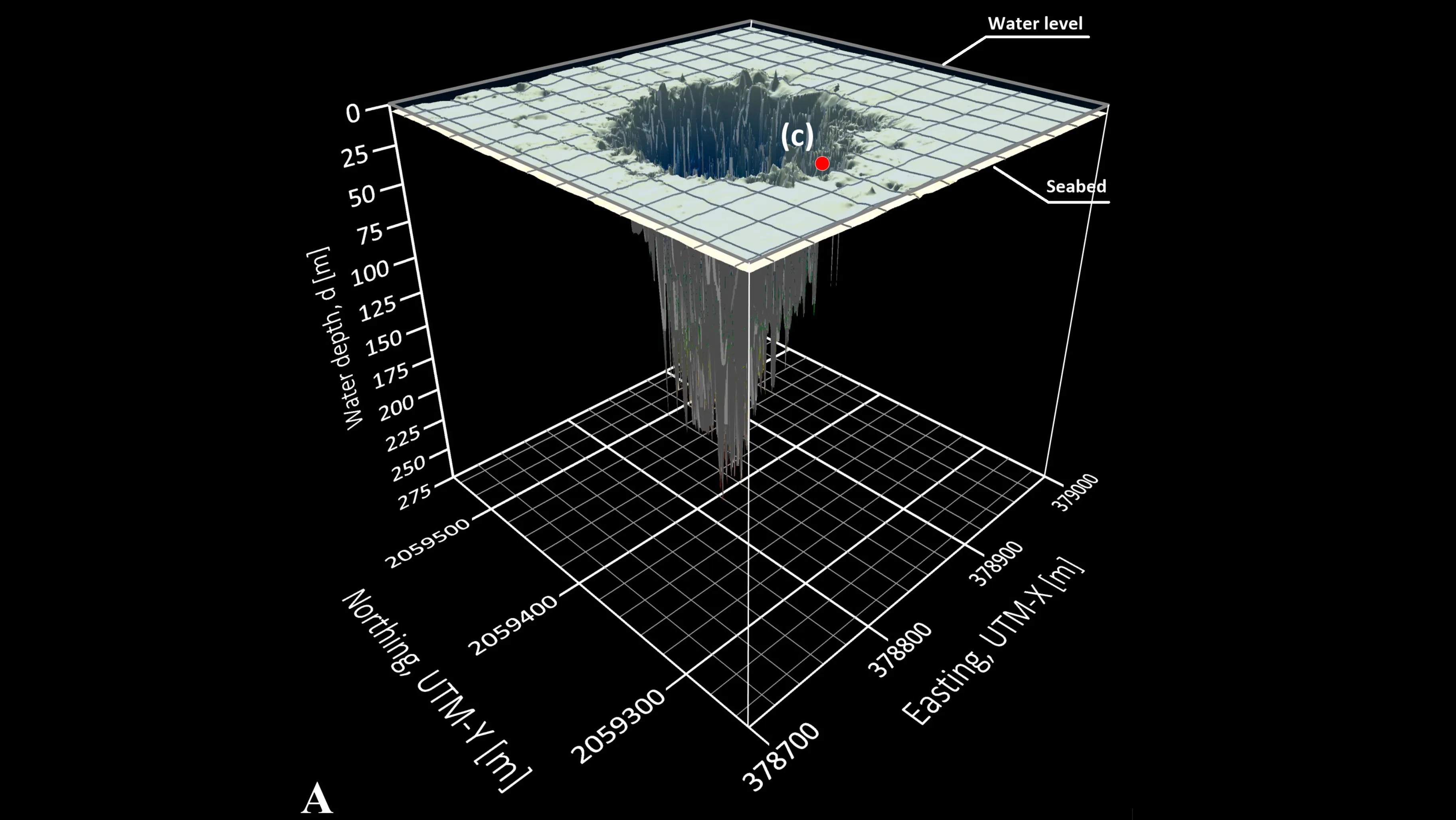 Сканирование голубых детей Таам Джа Сканирование голубых детей Таам Джа