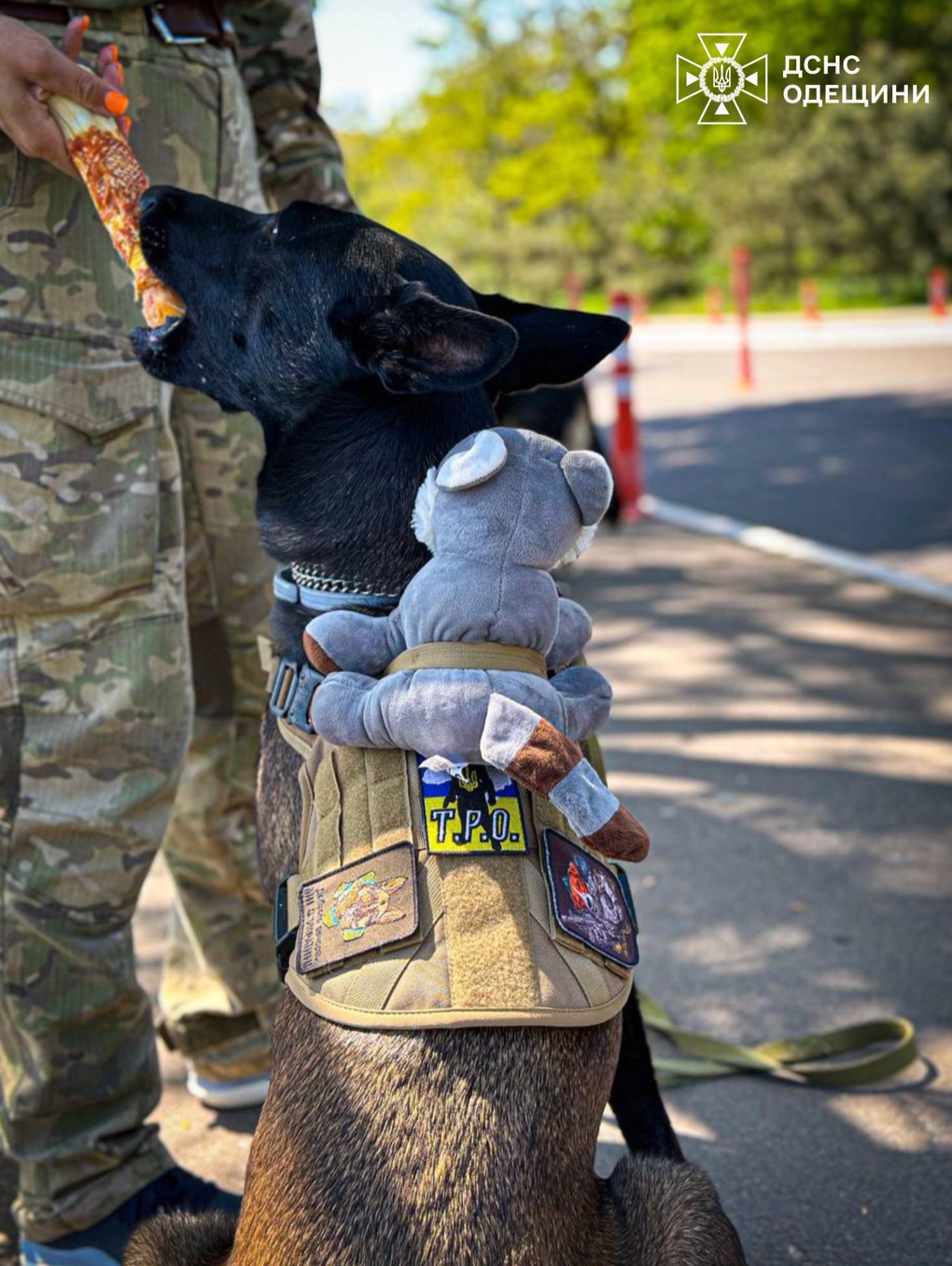 С Кетти попрощались 2 мая