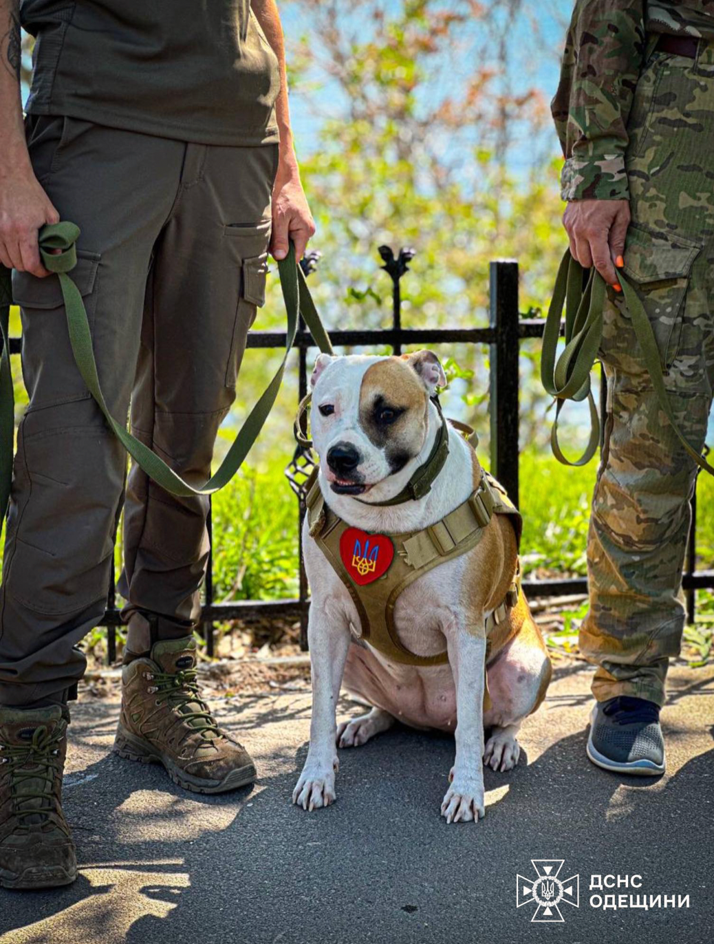 С Кетти попрощались 2 мая