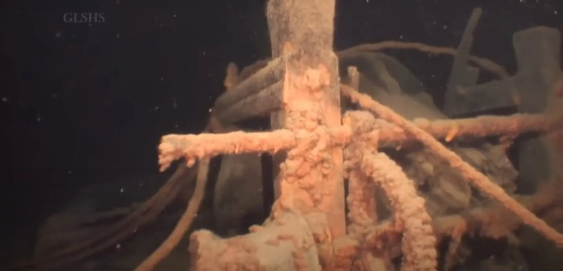 Adella Shores понад сто років провела на дні Adella Shores понад сто років провела на дні