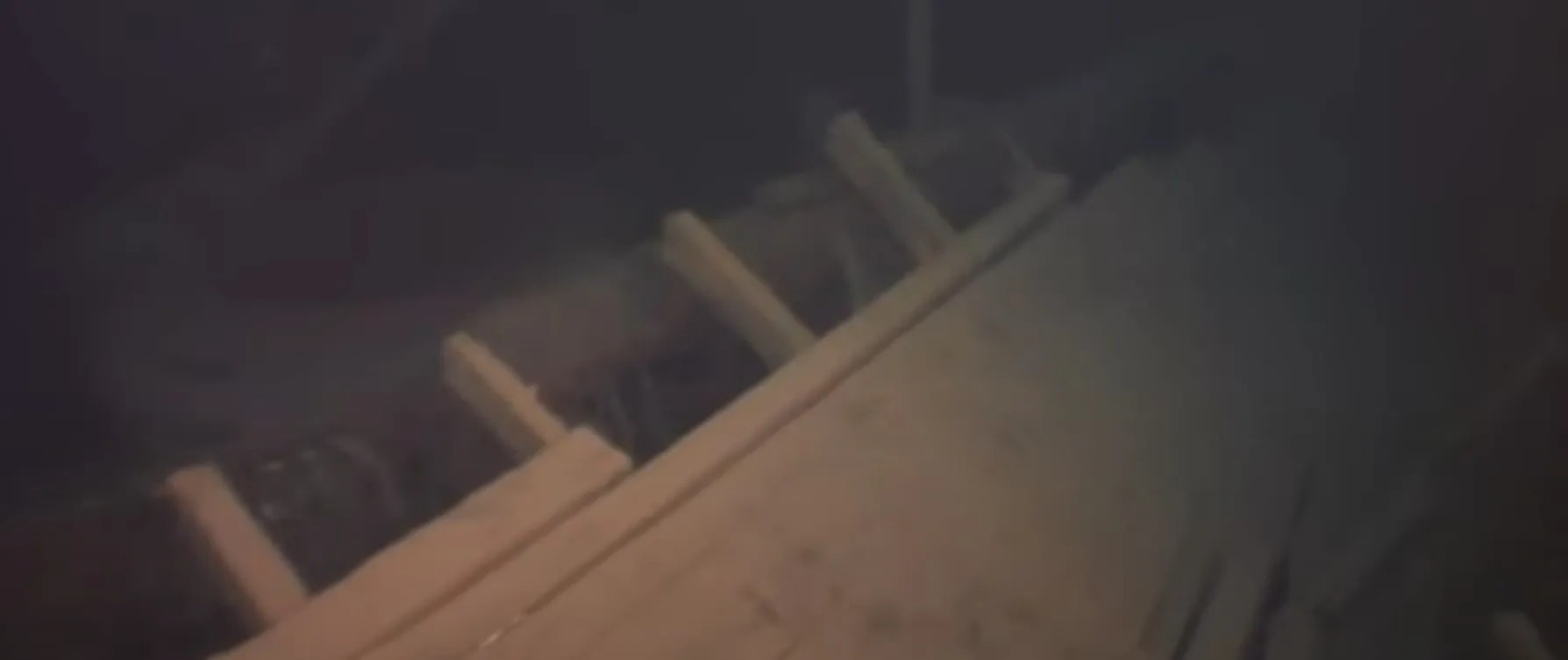 Так Adella Shores виглядає зараз Так Adella Shores виглядає зараз