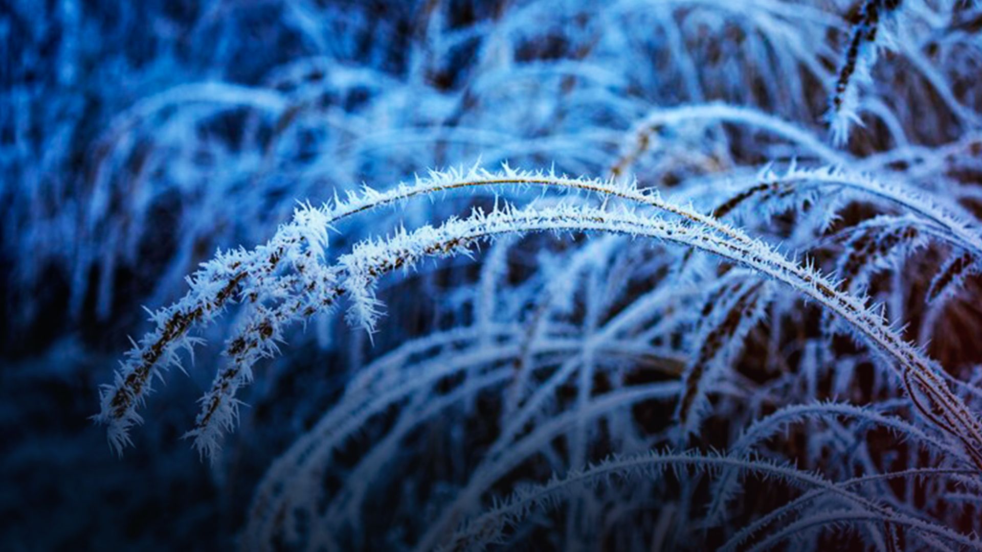 Погода Погода