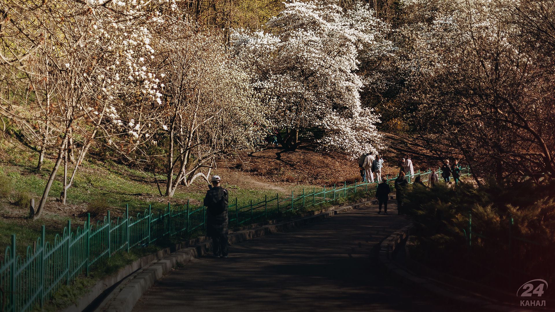 Погода в Україні - 24 Канал Погода в Україні - 24 Канал