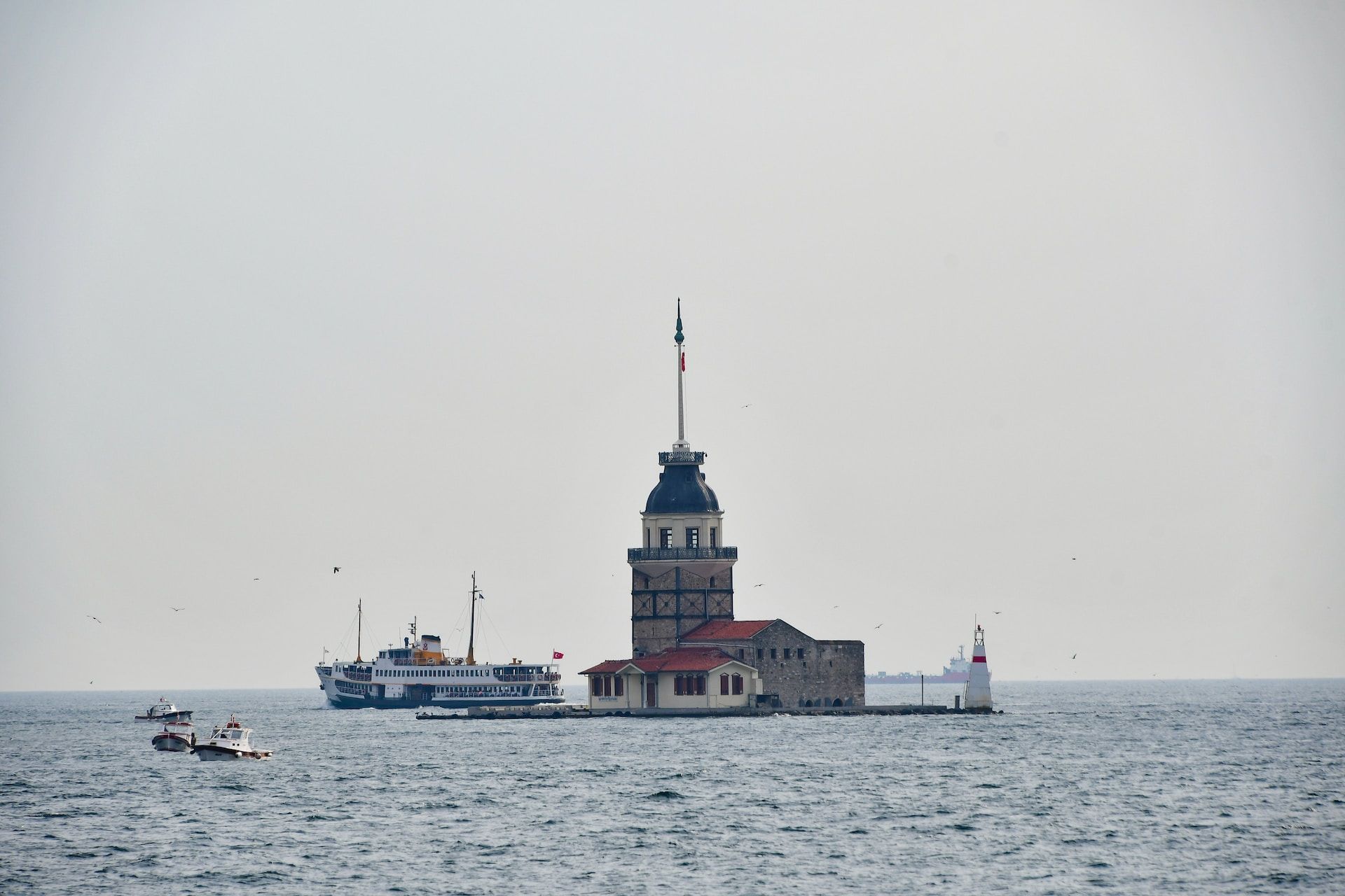 Груз направлялся из Украины в Египет Груз направлялся из Украины в Египет