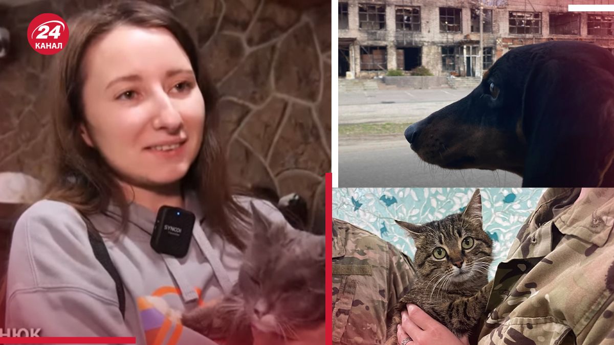 В Харькове действует приют для животных с опасных территорий