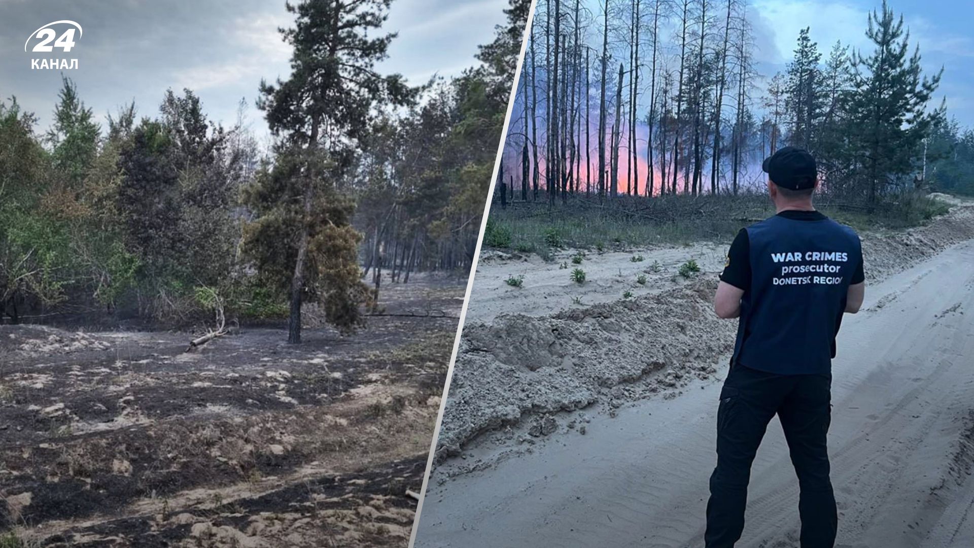 У Лимані сталася лісова можежа через дії окупантів У Лимані сталася лісова можежа через дії окупантів