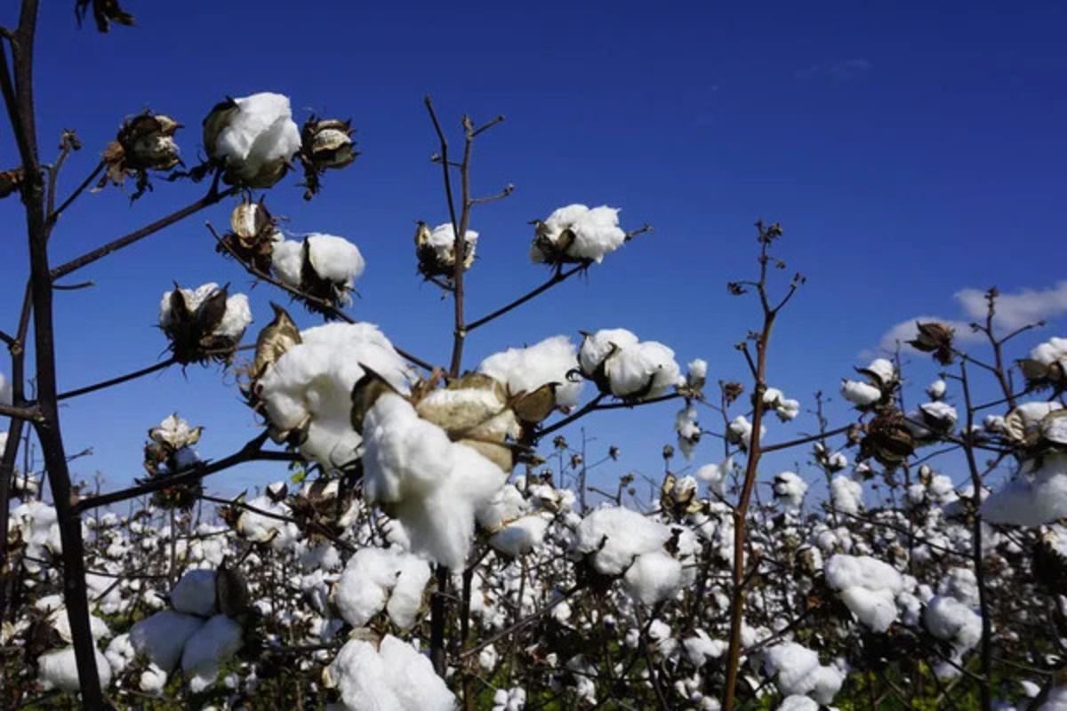 Красиві давні цікаві українські слова - ці 5 чудових слів вбила радянська влада Красиві давні цікаві українські слова - ці 5 чудових слів вбила радянська влада