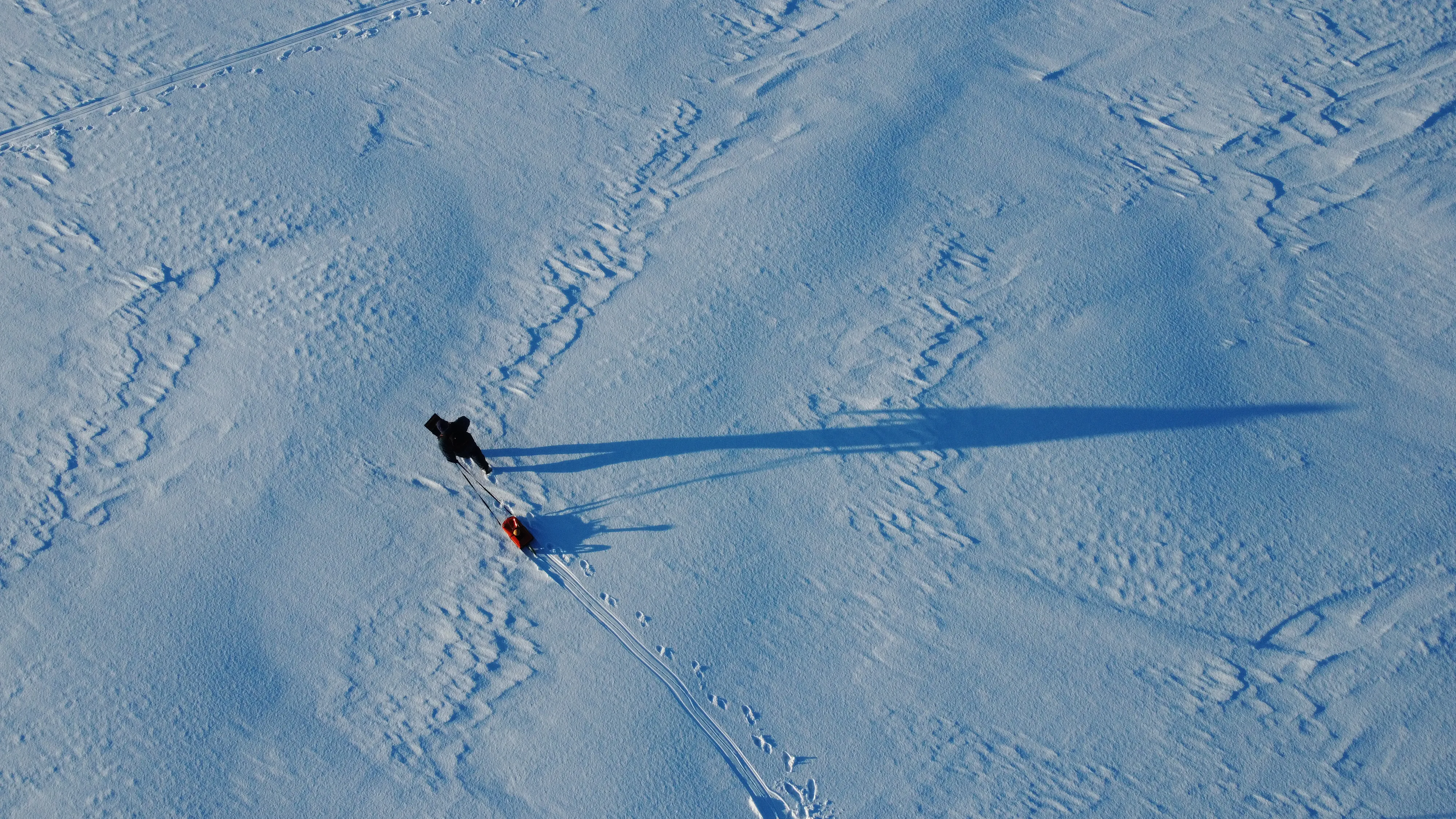 Фантастическая природа Антарктиды Фантастическая природа Антарктиды