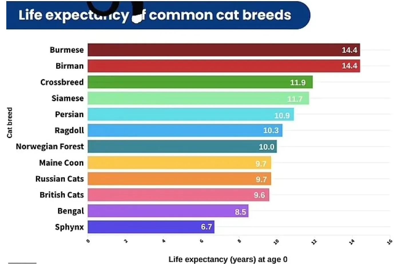 Таблиця смертності різних порід кішок 
