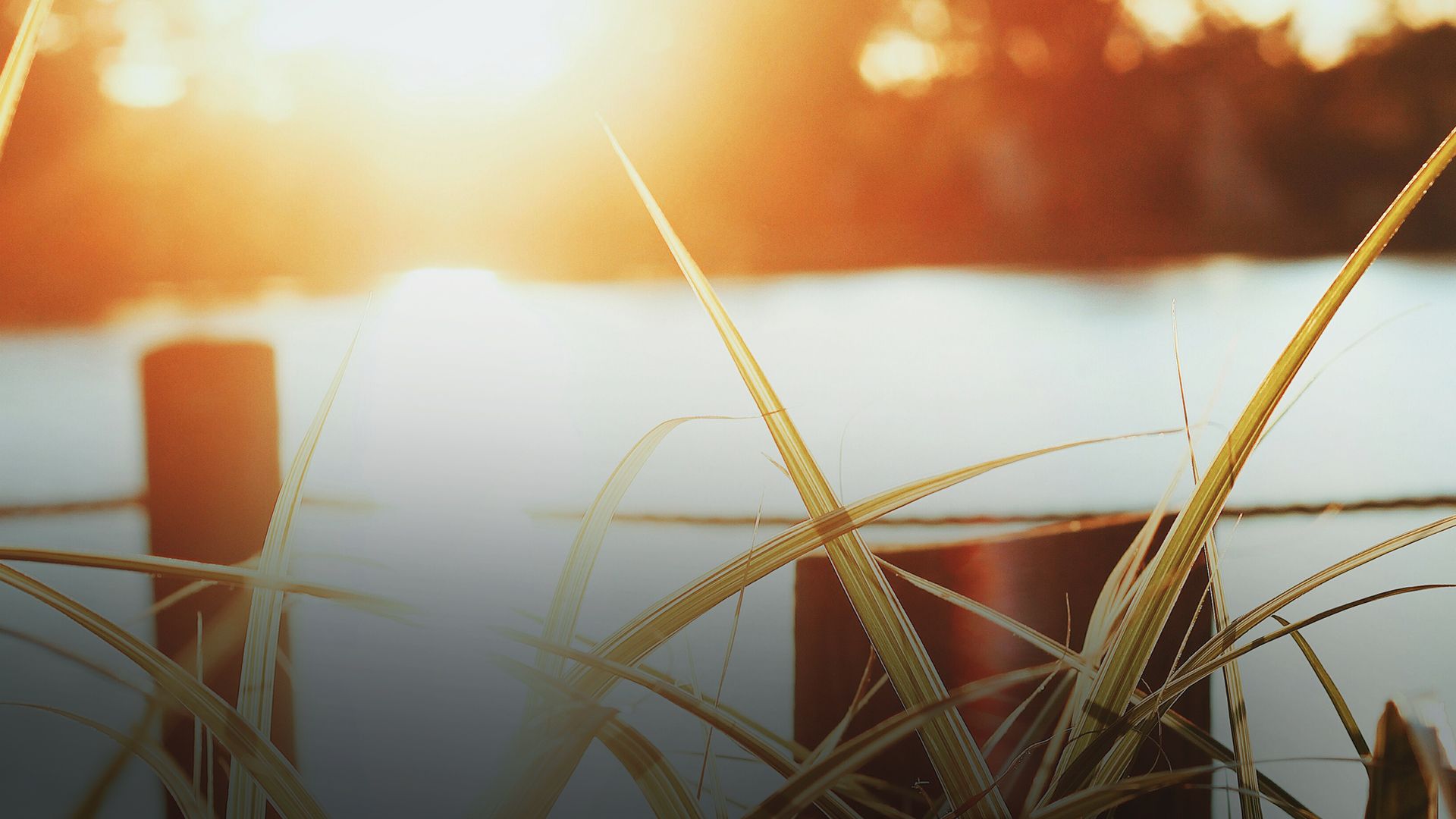 Будет ли жара в мае Будет ли жара в мае