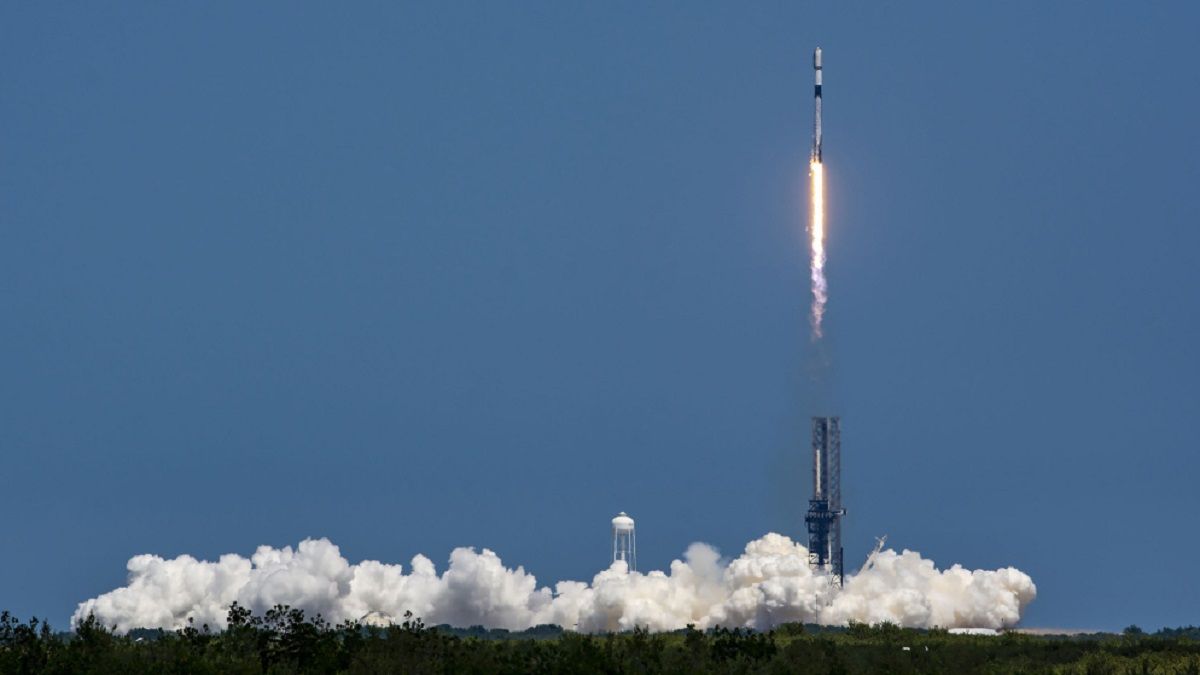 Ілюстративне фото Ілюстративне фото