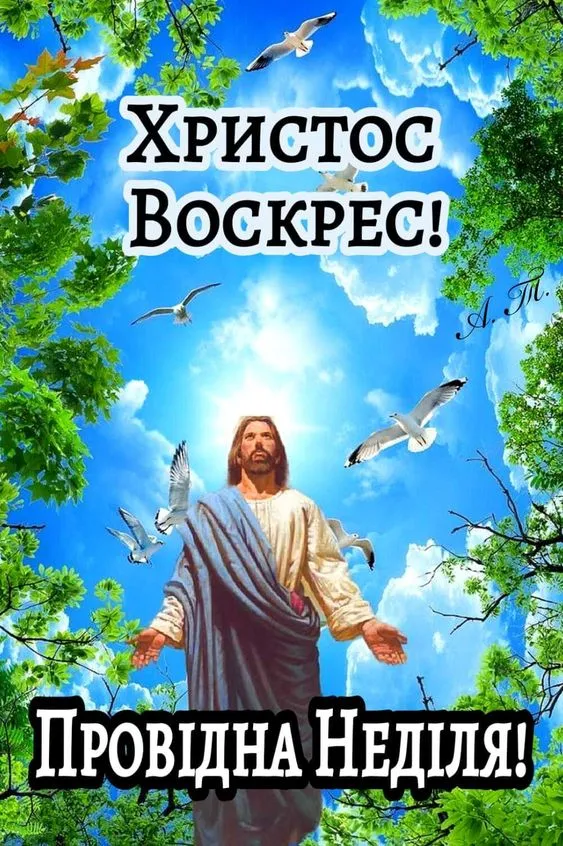 Провідна неділя 2024 Провідна неділя 2024