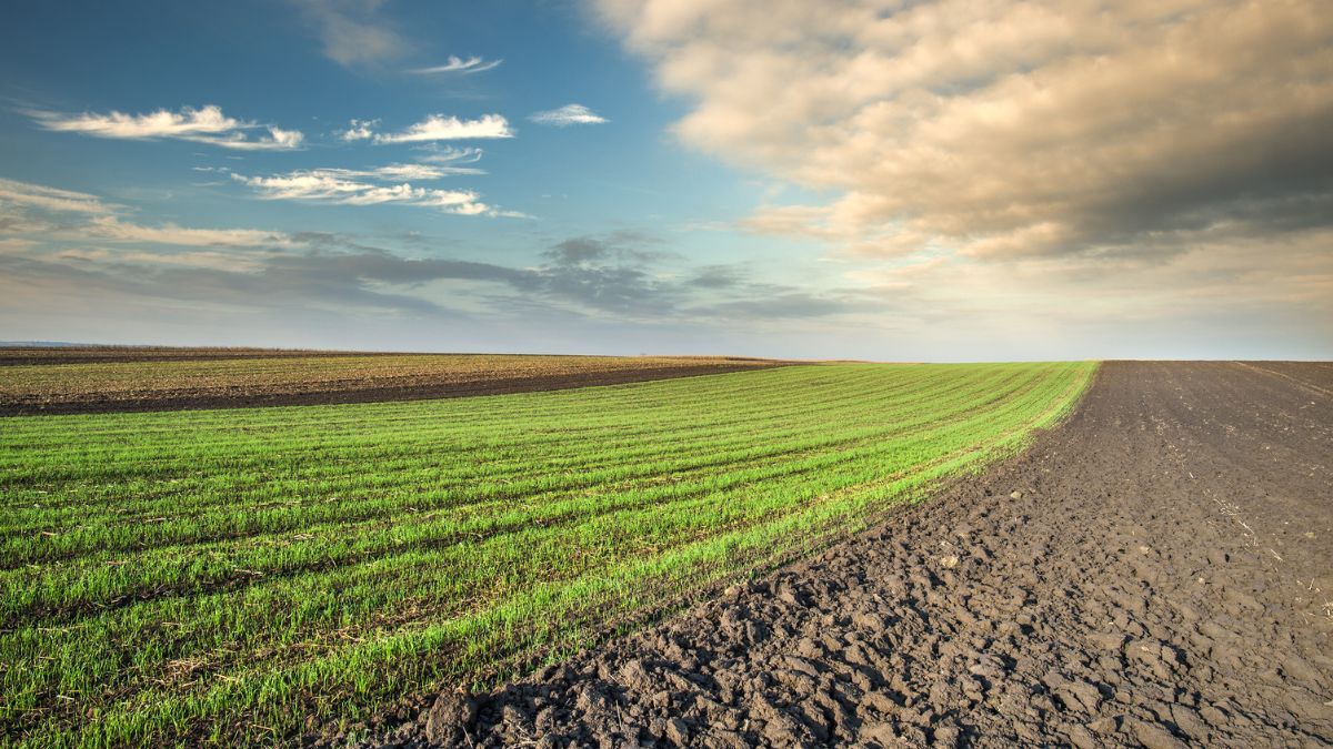 Спрос на землю Спрос на землю