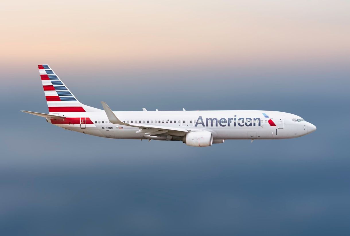 Оливка сэкономила American Airlines 40 тысяч долларов Оливка сэкономила American Airlines 40 тысяч долларов