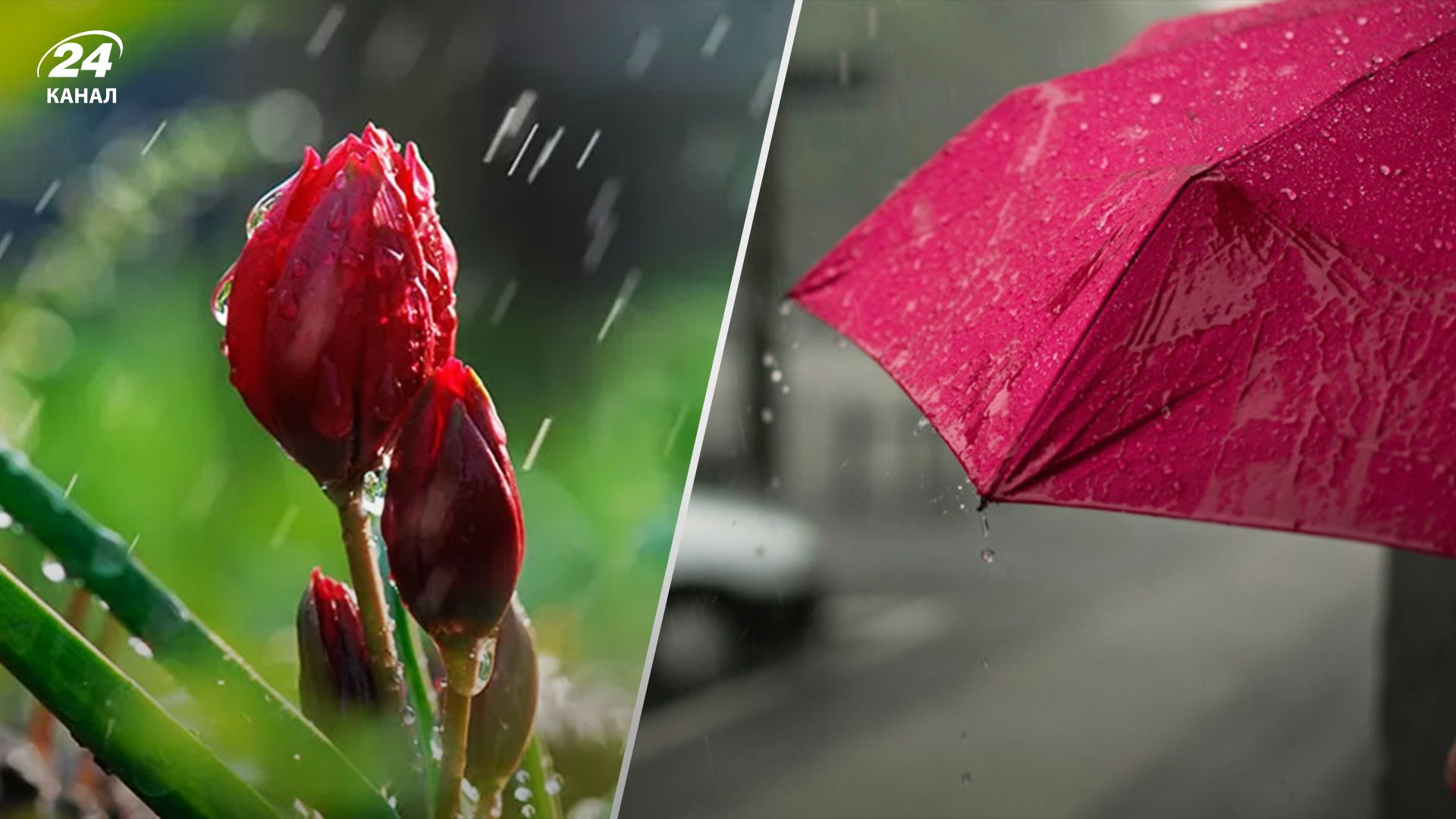 Прогноз погоды в Украине 13 мая Прогноз погоды в Украине 13 мая