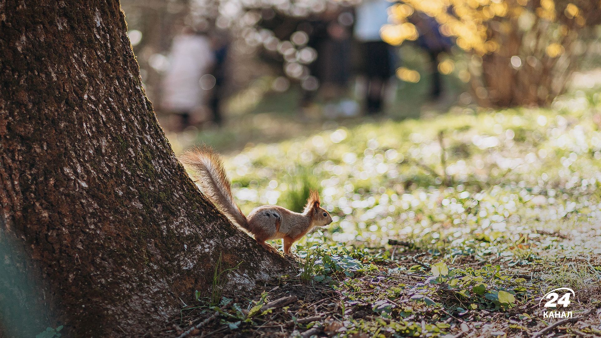 Когда потеплеет - 24 Канал Когда потеплеет - 24 Канал