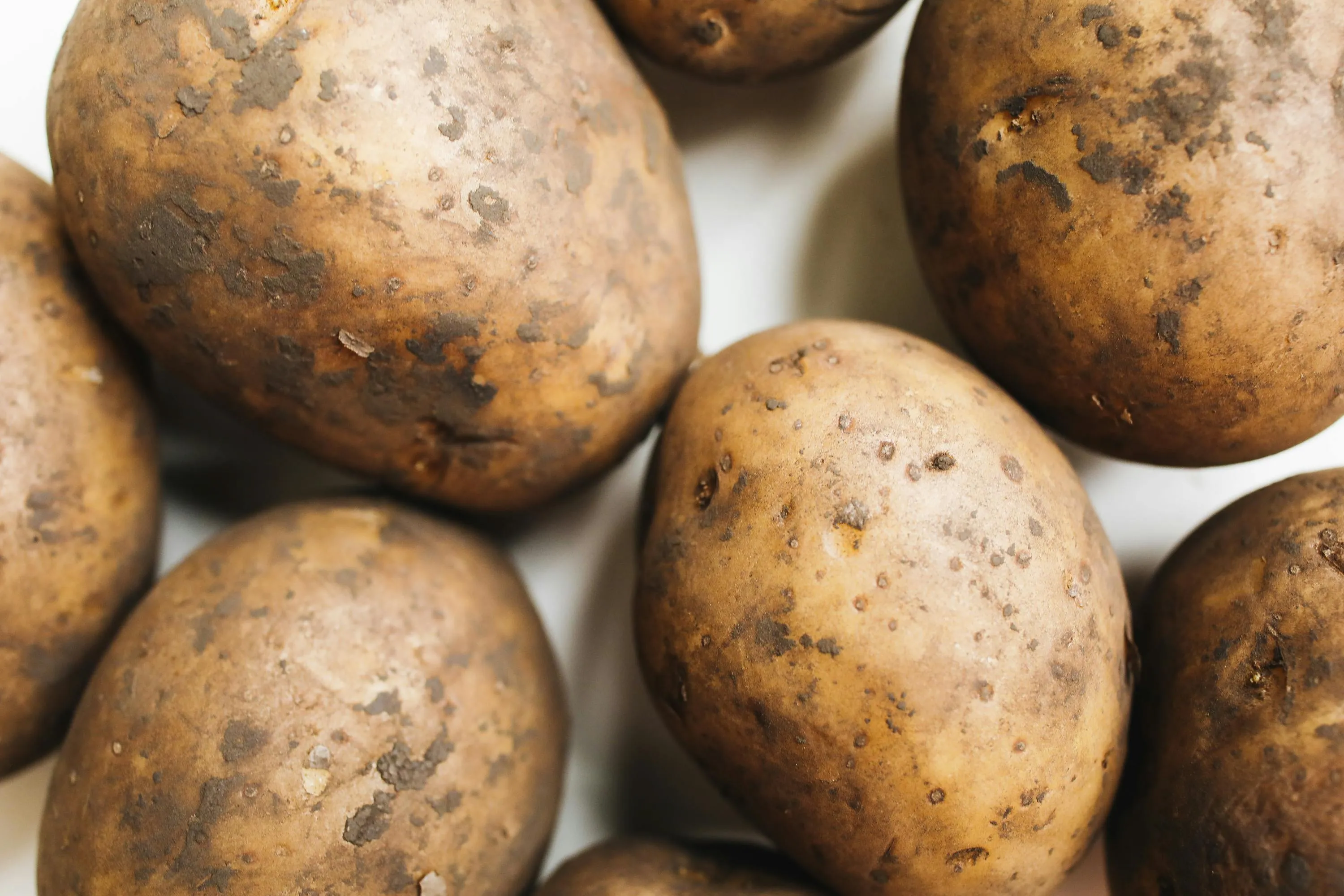 Названы лучшие удобрения для посадки картофеля 