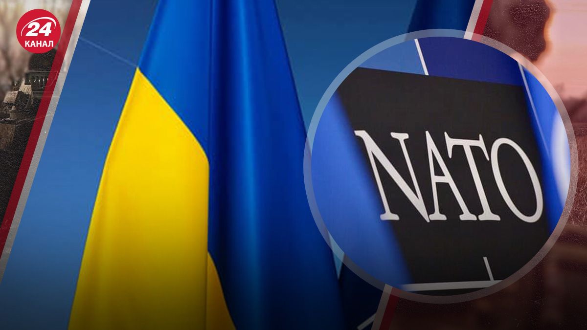  Які пропозиції щодо вступу в НАТО Україна може отримати