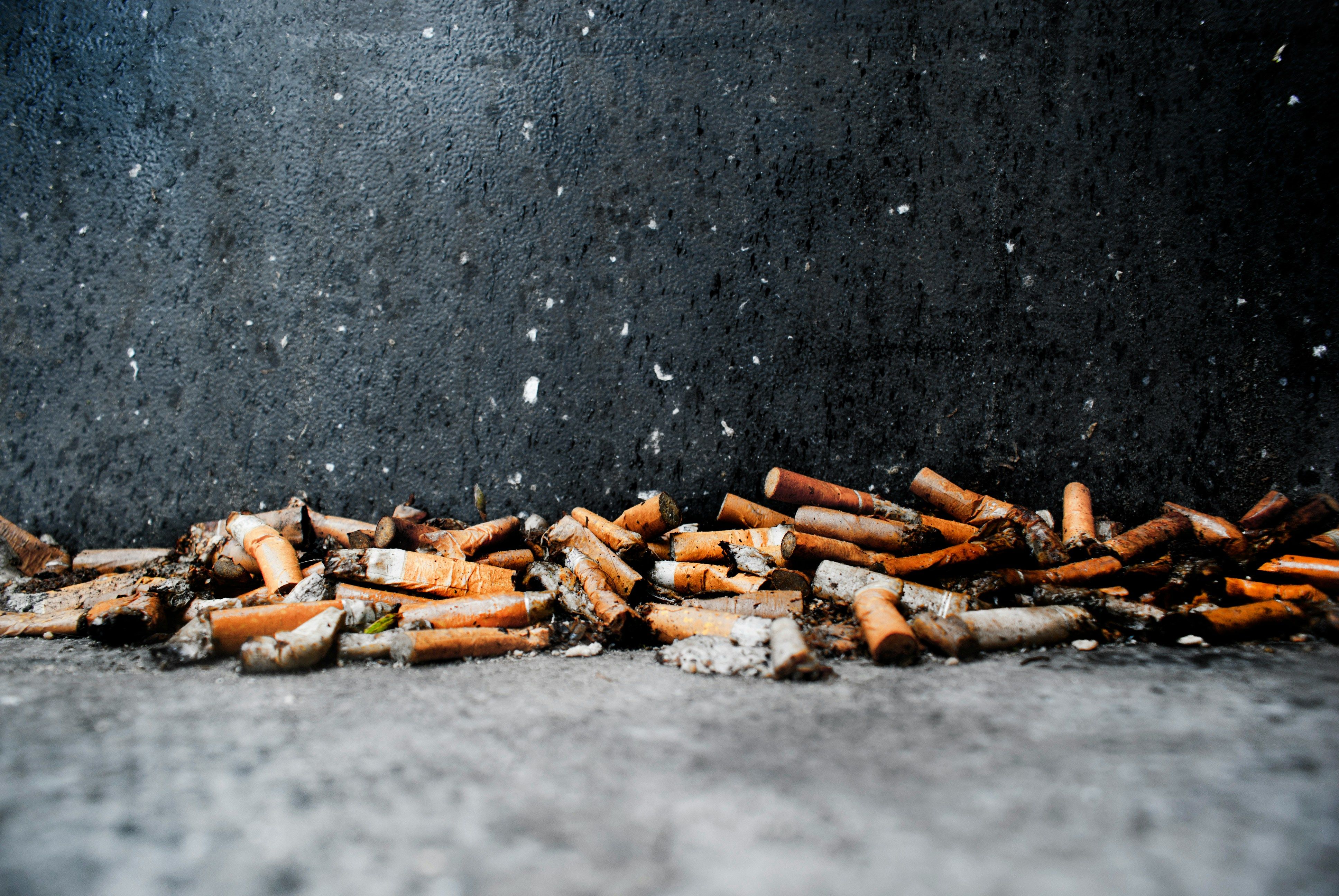 Philip Morris откроет фабрику на Львовщине Philip Morris откроет фабрику на Львовщине