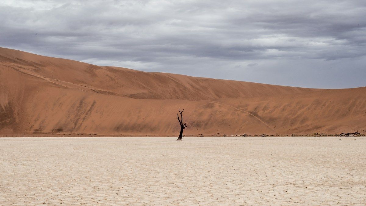 Північна півкуля Землі вже перевищила поріг Паризької кліматичної угоди Північна півкуля Землі вже перевищила поріг Паризької кліматичної угоди