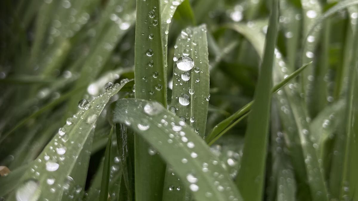 Дощова погода по всій Україні - 24 Канал Дощова погода по всій Україні - 24 Канал