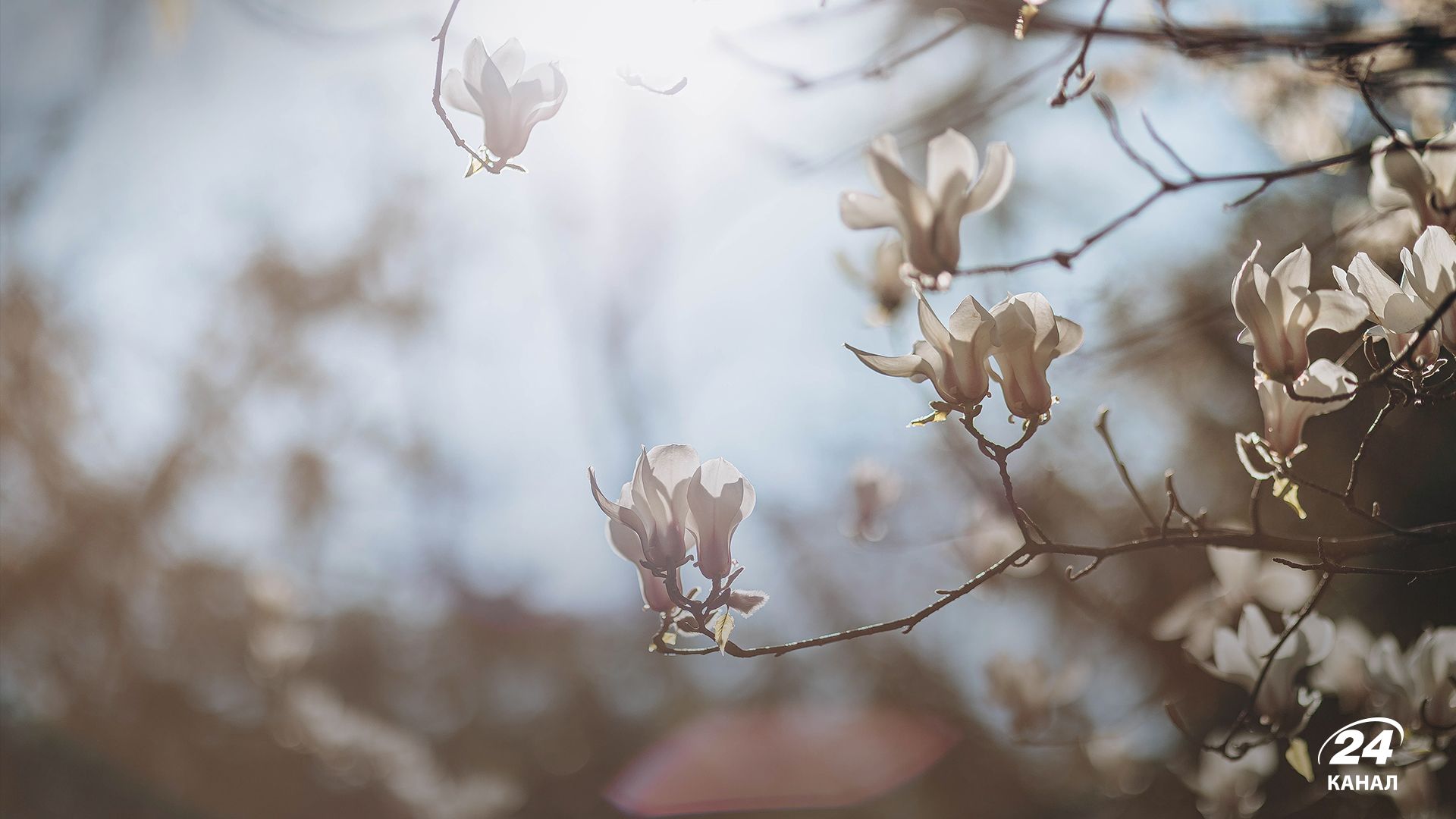 Погода в Україні - 24 Канал Погода в Україні - 24 Канал