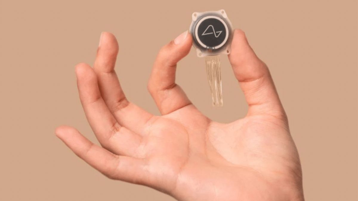 Чип Neuralink Чип Neuralink