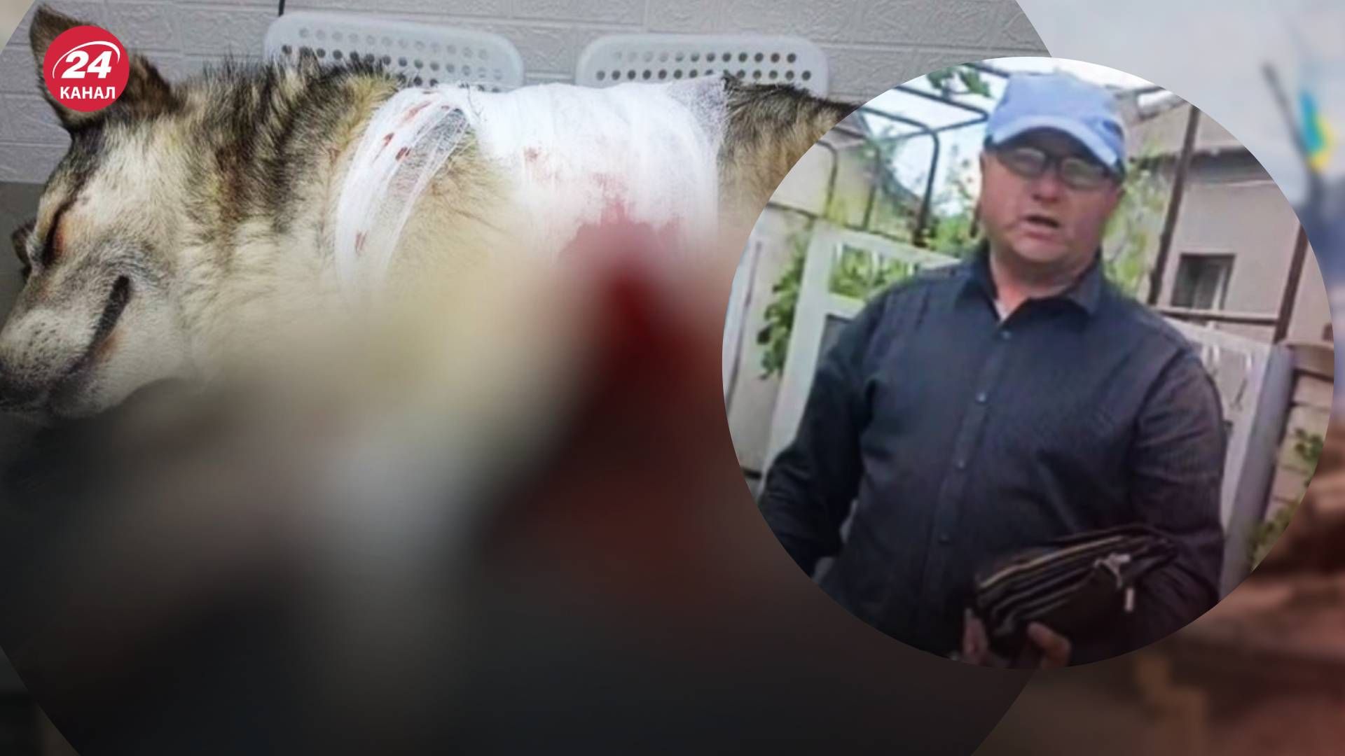 В Одесской области мужчина проколол вилами собаку - 24 Канал В Одесской области мужчина проколол вилами собаку - 24 Канал