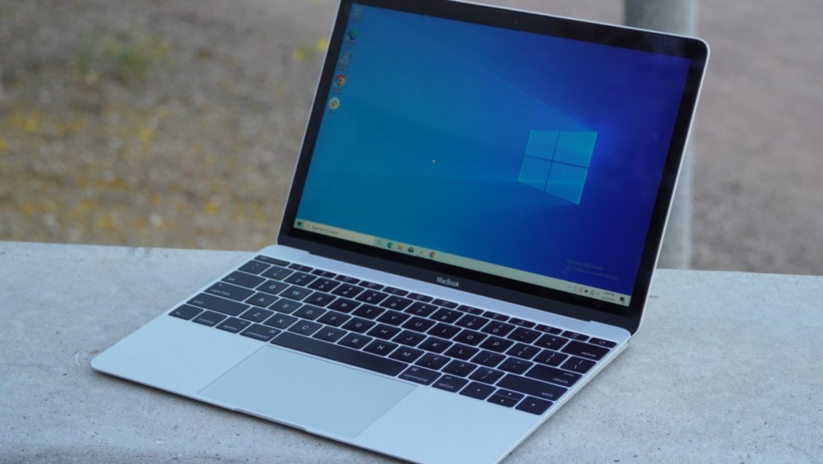 Иллюстративное фото Иллюстративное фото