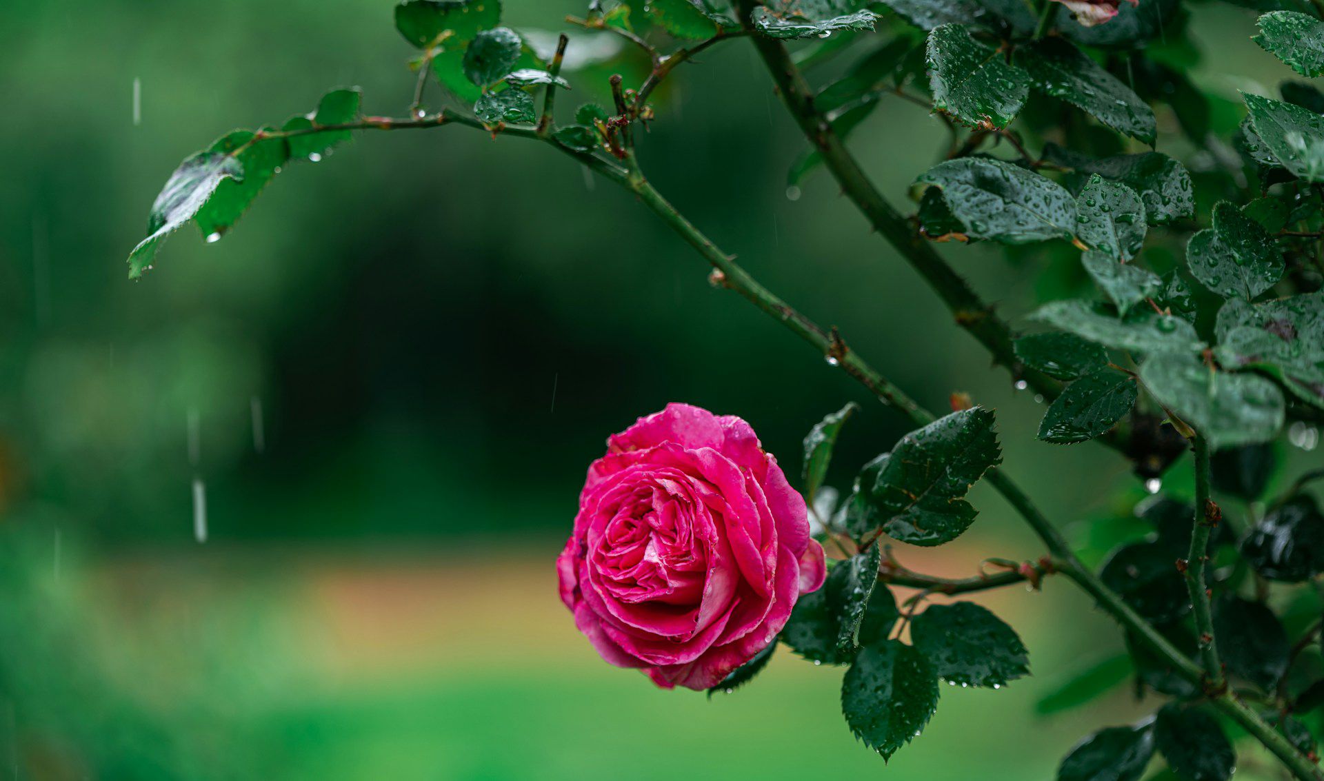 Прогноз погоди в Україні на 21 травня Прогноз погоди в Україні на 21 травня