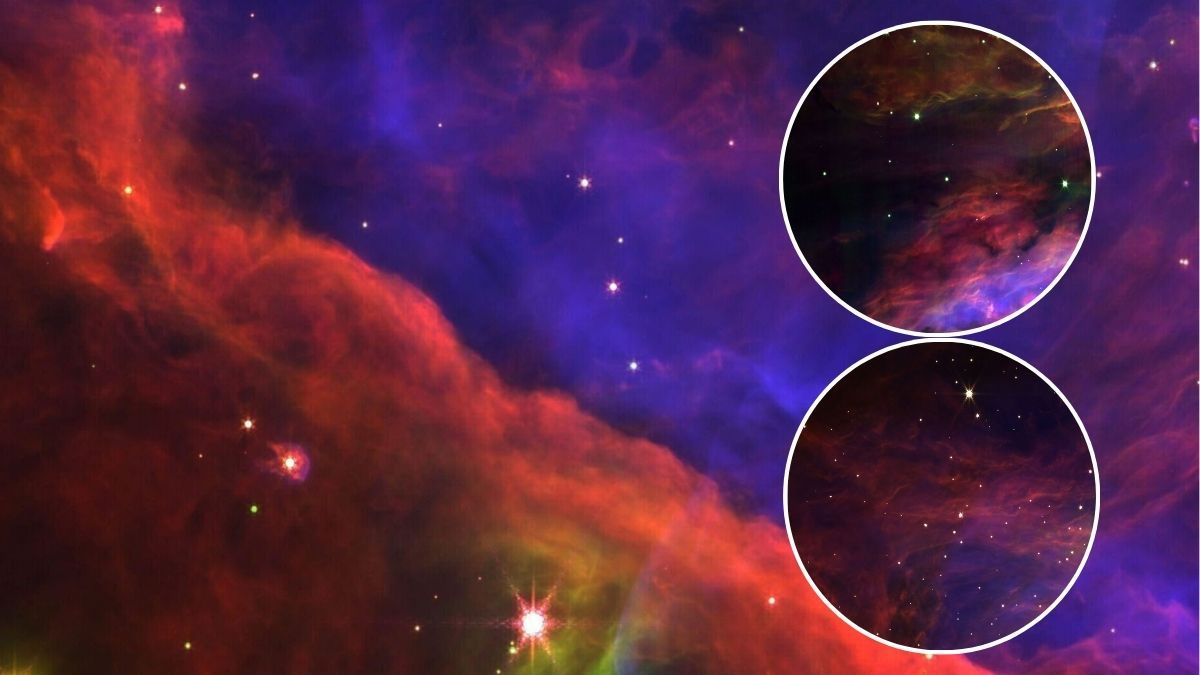 Туманность "Орион" Туманность "Орион"