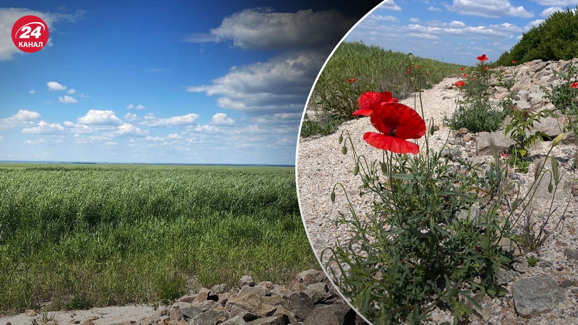Нигде на планете нет такого: как выглядит дно Каховского водохранилища через год после подрыва - 24 Канал Нигде на планете нет такого: как выглядит дно Каховского водохранилища через год после подрыва - 24 Канал